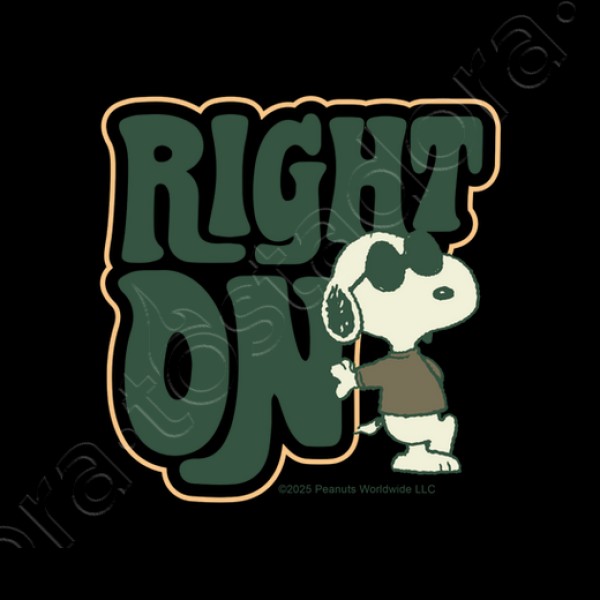 Snoopy Joe Cool Right on