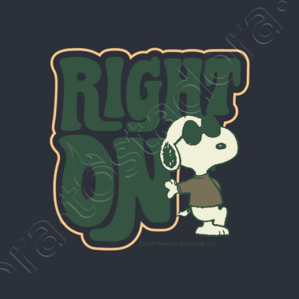 Snoopy Joe Cool Right on
