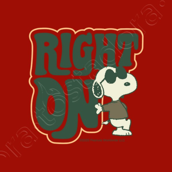 Snoopy Joe Cool Right on