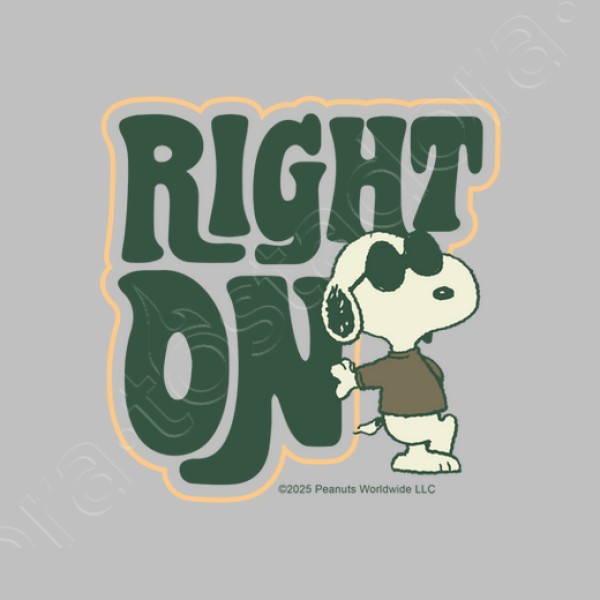 Snoopy Joe Cool Right on