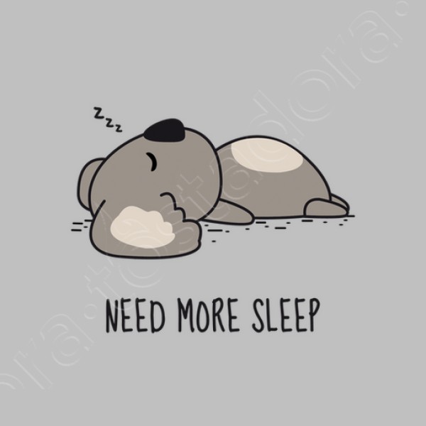 necesito dormir mas