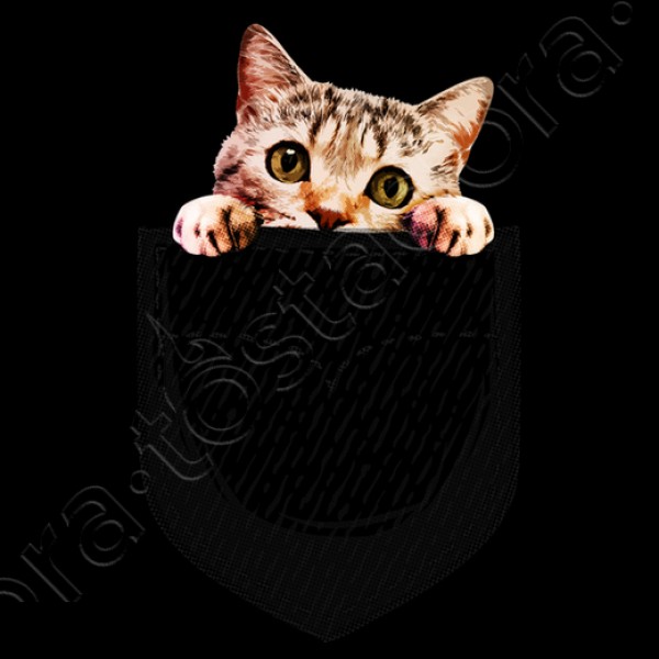 gato en el bolsillo