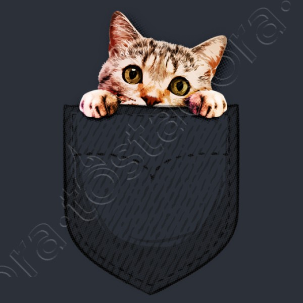 gato en el bolsillo