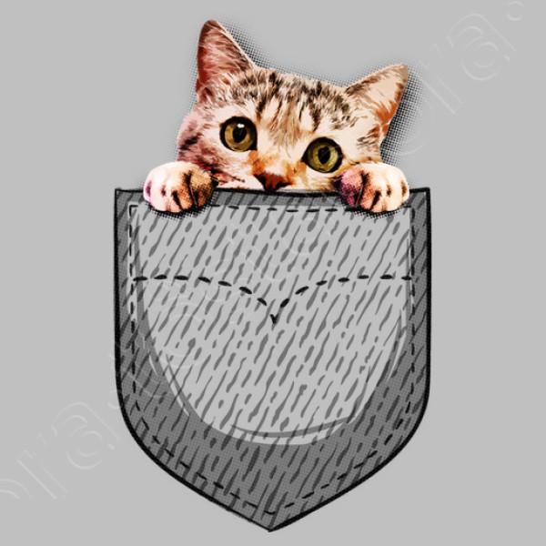 gato en el bolsillo