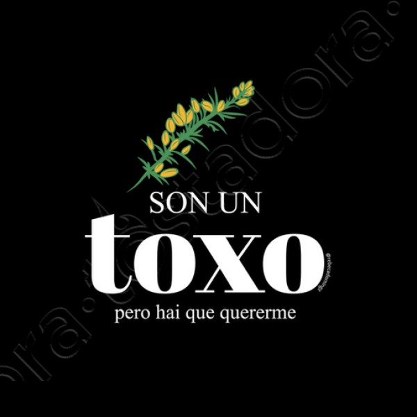 Sudadera Son un toxo, pero hai que quererme