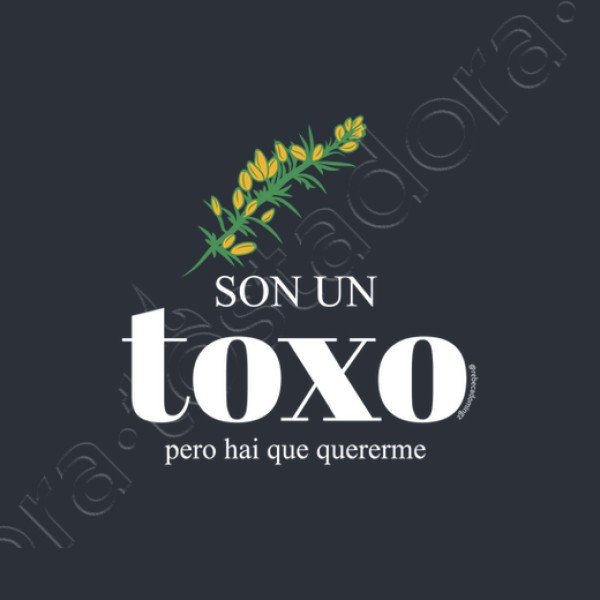 Sudadera Son un toxo, pero hai que quererme