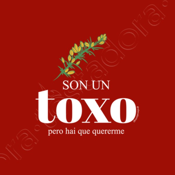 Sudadera Son un toxo, pero hai que quererme