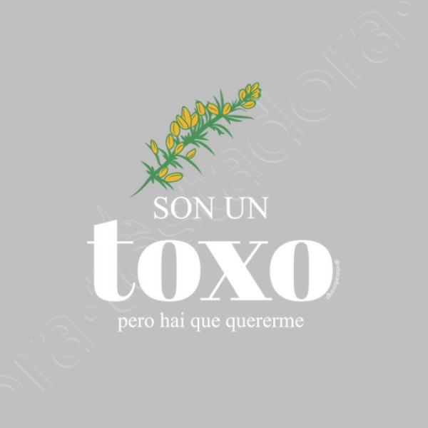 Sudadera Son un toxo, pero hai que quererme