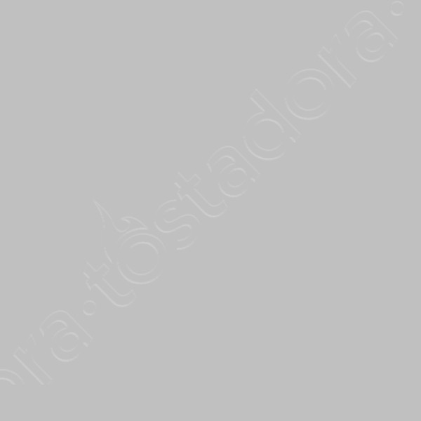 Sudadera capucha gris mujer
